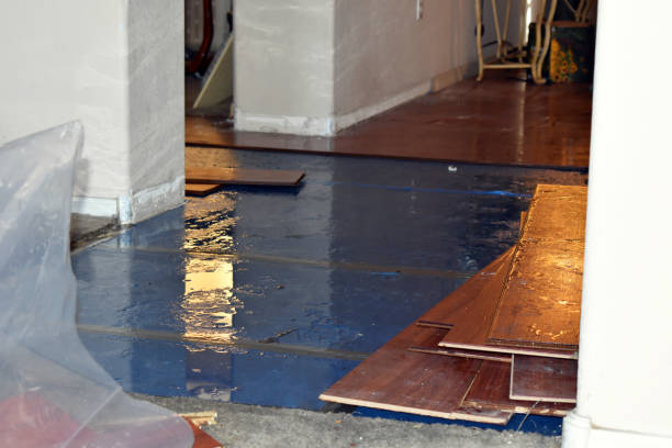 Professional Burst Pipe Cleanup technician working in Brookston, MN